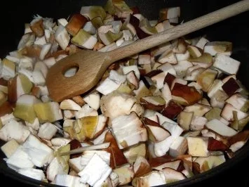 Rezept: Penne mit Steinpilzrahm und Salsiccia Fresca Bild Nr. 5 Penne mit Steinpilzrahm und Salsiccia Fresca - Rezept - Bild Nr. 5