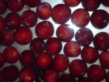 Mirabellen-Klößchen - Rezept - Bild Nr. 6