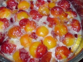 Rezept: Mirabellen-Kompott Bild Nr. 9 Mirabellen-Kompott - Rezept - Bild Nr. 9