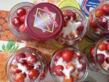 Rezept: Mirabellen-Kompott Bild Nr. 13 Mirabellen-Kompott - Rezept - Bild Nr. 13