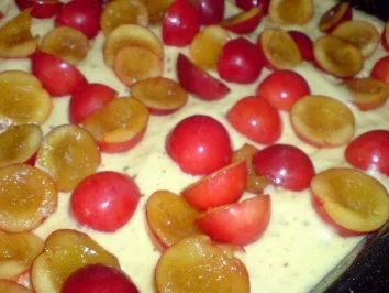 Rezept: Mirabellen-Kompott Bild Nr. 17 Mirabellen-Kompott - Rezept - Bild Nr. 17