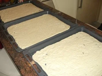 Hefe:    PIZZA - QUARTETT - Rezept - Bild Nr. 14