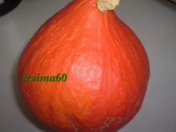 Kürbiscreme Suppe - Rezept - Bild Nr. 2