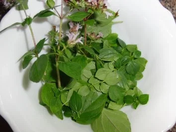 Huhn : Die Trauben für die Hähnchenkeulen waren beschwipst - Rezept - Bild Nr. 3