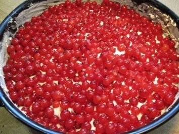 Mohnkuchen mit frischen Johannisbeeren - Rezept - Bild Nr. 6