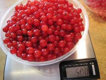 Mohnkuchen mit frischen Johannisbeeren - Rezept - Bild Nr. 5