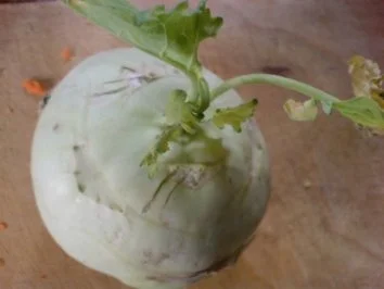 Eintopf - einmal quer durch den Garten - Rezept - Bild Nr. 10