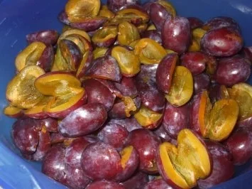 Konfitüre: Omens Pflaumenmus - Rezept - Bild Nr. 2