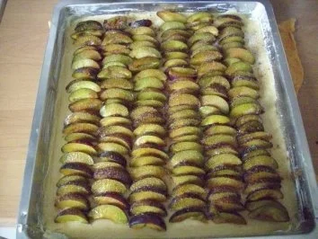 Pflaumenkuchen mit Hefeteig und Gelinggarantie - Rezept - Bild Nr. 2