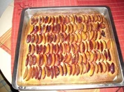 Pflaumenkuchen mit Hefeteig und Gelinggarantie - Rezept