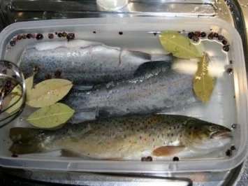 Rezept: Forelle geräuchert Bild Nr. 2 Forelle geräuchert - Rezept - Bild Nr. 2