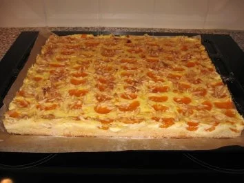 Mandarinen-Schmand-Kuchen - Rezept - Bild Nr. 2