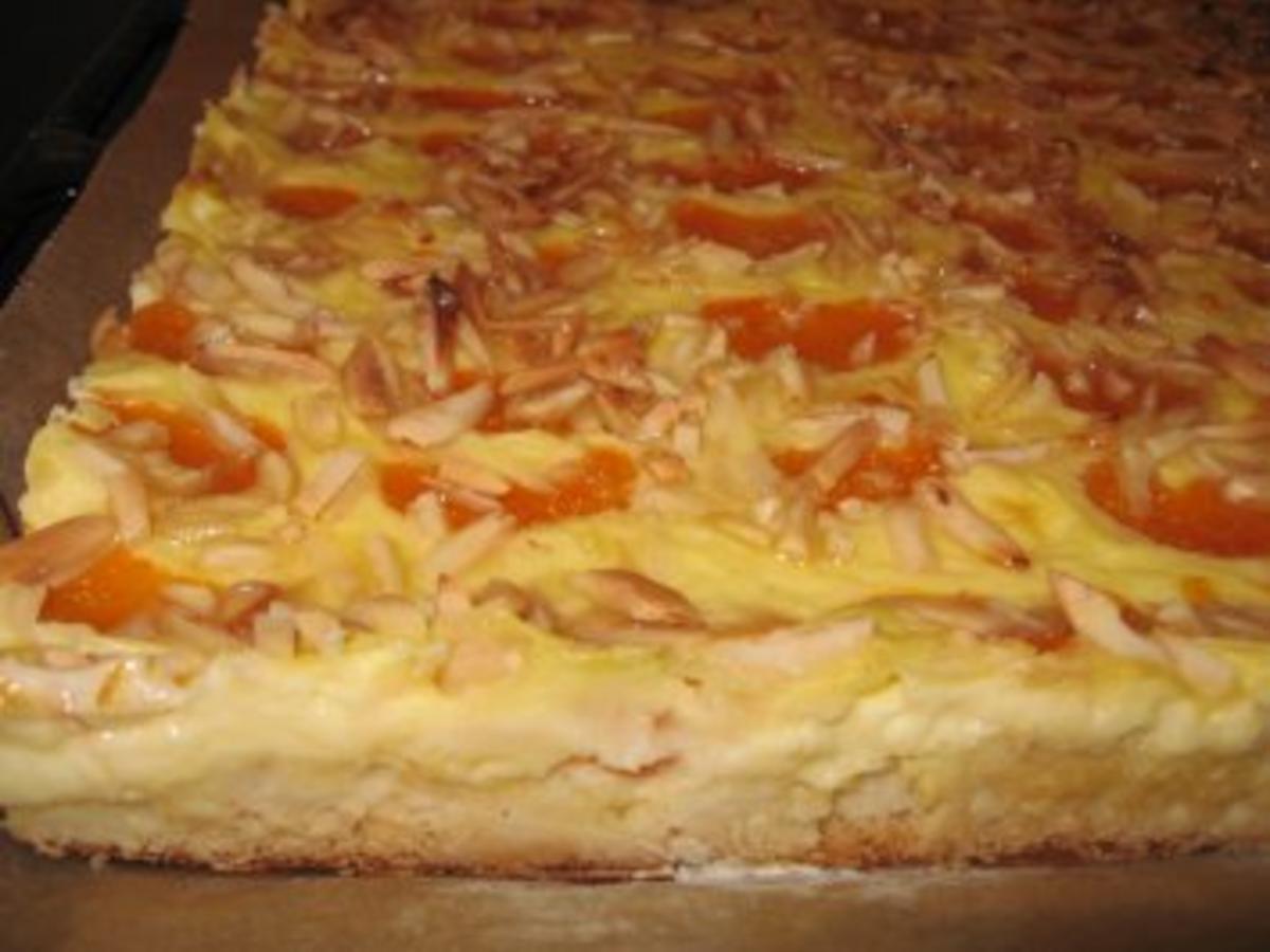 Mandarinen-Schmand-Kuchen - Rezept mit Bild - kochbar.de