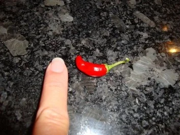 Chili-Knoblauch Kräuterbutter - Rezept - Bild Nr. 2