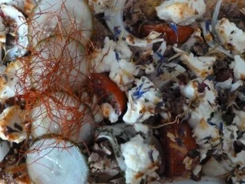 Wildblütenpizza mit Thunfisch und Ziegenkäse - Rezept - Bild Nr. 2