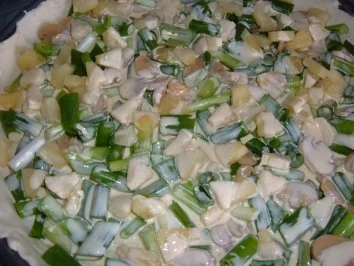 Rezept: Pizza......mit Frühlingszwiebeln...Ananas und Schinken Bild Nr. 3 Pizza......mit Frühlingszwiebeln...Ananas und Schinken - Rezept - Bild Nr. 3