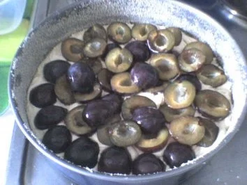 Mein Pflaumentraum - Rezept - Bild Nr. 2