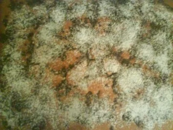 Dalmatinerkuchen - Rezept - Bild Nr. 4