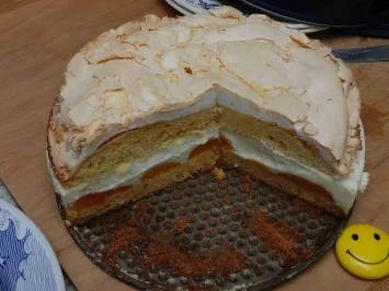 Rezept: Kuchen - Aprikosenkuchen...ein Kuchen der oberlecker war.... Kuchen - Aprikosenkuchen...ein Kuchen der oberlecker war.... - Rezept