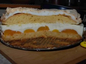 Rezept: Kuchen - Aprikosenkuchen...ein Kuchen der oberlecker war.... Bild Nr. 4 Kuchen - Aprikosenkuchen...ein Kuchen der oberlecker war.... - Rezept - Bild Nr. 4