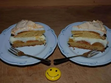 Rezept: Kuchen - Aprikosenkuchen...ein Kuchen der oberlecker war.... Bild Nr. 5 Kuchen - Aprikosenkuchen...ein Kuchen der oberlecker war.... - Rezept - Bild Nr. 5