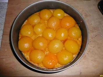 Rezept: Kuchen - Aprikosenkuchen...ein Kuchen der oberlecker war.... Bild Nr. 2 Kuchen - Aprikosenkuchen...ein Kuchen der oberlecker war.... - Rezept - Bild Nr. 2