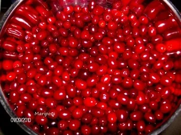 Rezept: Dirndl - Marmelade Bild Nr. 4 Dirndl - Marmelade - Rezept - Bild Nr. 4