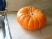 Kürbisgelee - Rezept