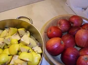 Quitten-Apfel-Gelee - Rezept