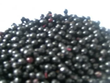 Rezept: Holundergelee Bild Nr. 2 Holundergelee - Rezept - Bild Nr. 2