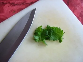 Kohlrabisalat - Rezept - Bild Nr. 3