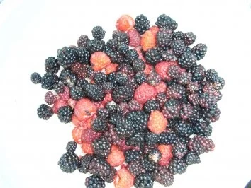 Himbeer-Brombeermarmelade - Rezept