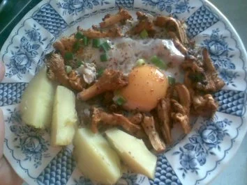 Pfifferlinge-Pfanne - Rezept