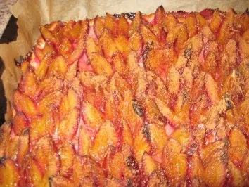 Rezept: Zwetschgen Datschi Zwetschgen Datschi - Rezept