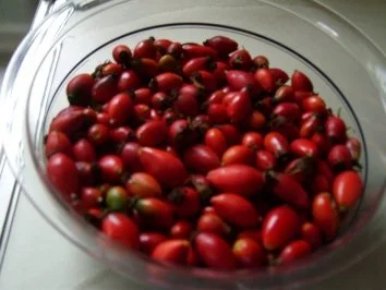 Hagebuttenmus - Rezept