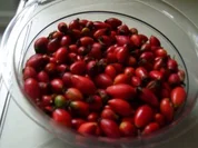 Hagebuttenmus - Rezept