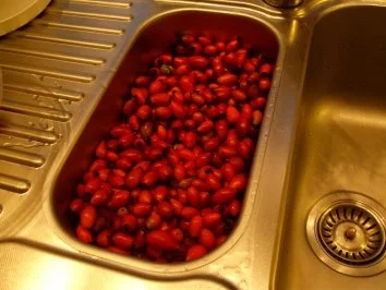 Hagebuttenmus - Rezept - Bild Nr. 2