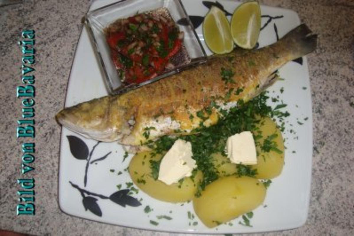 Fischgerichte: Gebratener Wolfsbarsch mit Gemüsekartoffeln - Rezept By
BlueBavaria