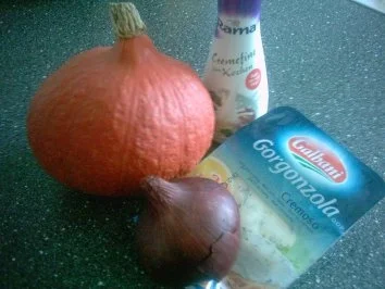 Kürbis - Gorgonzola - Soße zu Pasta - Rezept - Bild Nr. 2