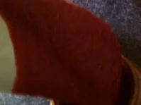 Rezept: Roter Knoblauchsenf Bild Nr. 4 Roter Knoblauchsenf - Rezept - Bild Nr. 4