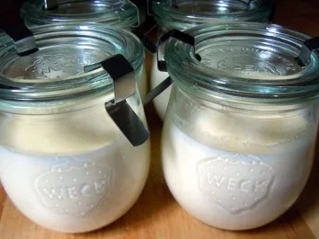 Rosmarin-Panna-Cotta mit Feigensauce - Rezept - Bild Nr. 4