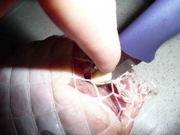 "Knofi-Rollen" - Rezept - Bild Nr. 5