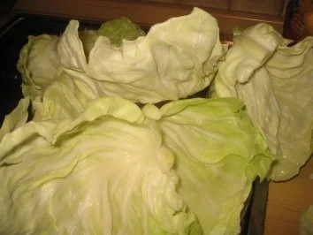 Rezept: Fleisch: Lisa's Krautwickel Bild Nr. 6 Fleisch: Lisa's Krautwickel - Rezept - Bild Nr. 6