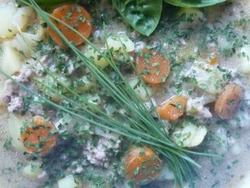 Spitzkohl-Hack-Eintopf mit Ingwer und Orange - Rezept - Bild Nr. 2