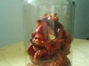 Rezept: Getrocknete Tomaten Getrocknete Tomaten - Rezept