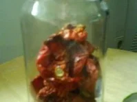 Rezept: Getrocknete Tomaten Bild Nr. 8 Getrocknete Tomaten - Rezept - Bild Nr. 8