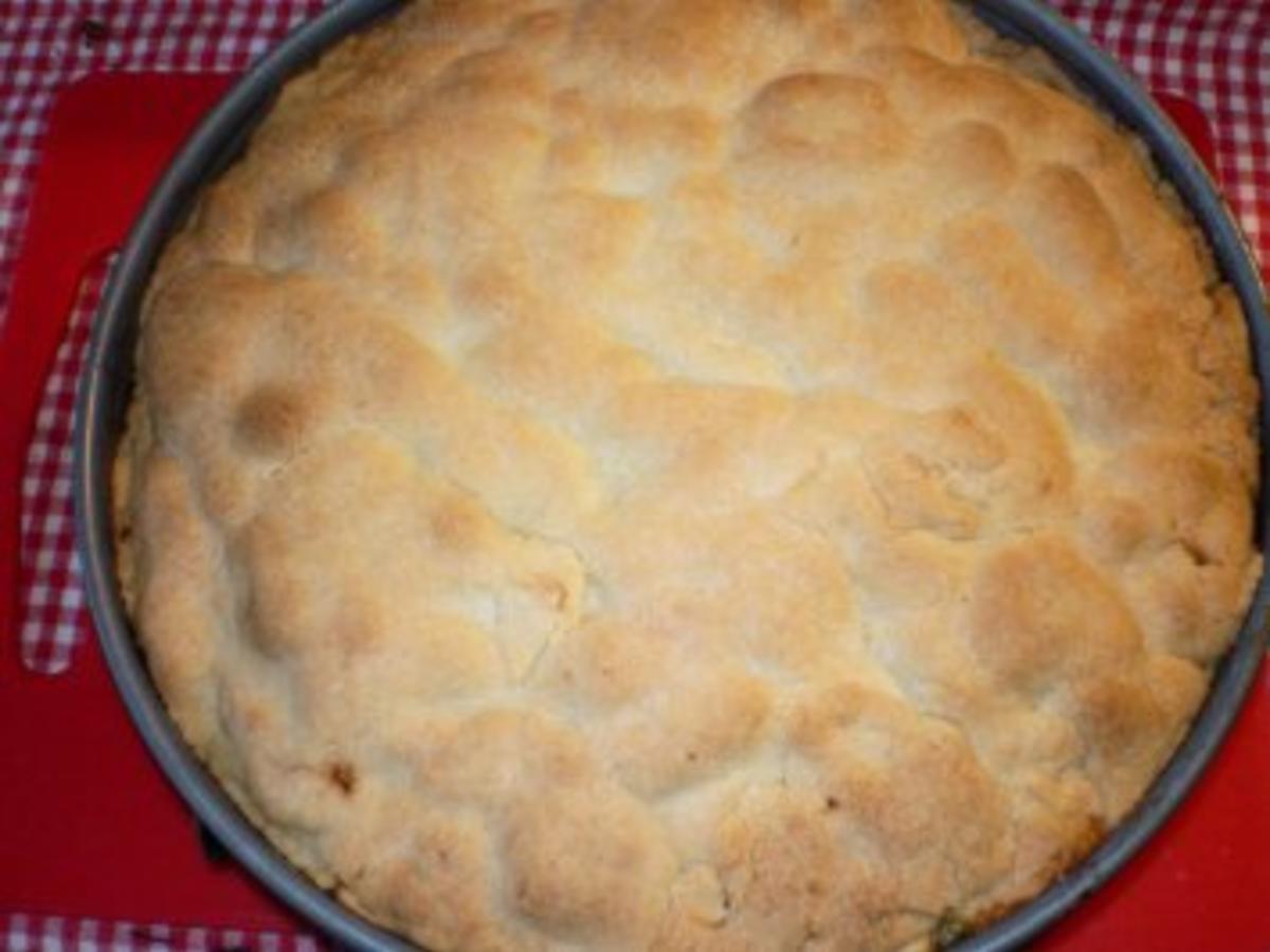 Apfelkuchen mit Rumrosinen - einfach - 153 kcal/100g