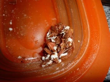 Getränk: Pflaumenlikör - Rezept - Bild Nr. 3