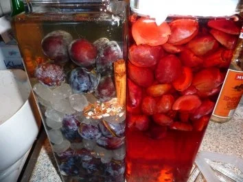 Getränk: Pflaumenlikör - Rezept - Bild Nr. 4