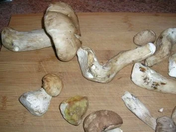 Hasenkeulen gespickt/ mit Steinpilzen und rohem Knödel - der Herbst kann kommen - Rezept - Bild Nr. 7